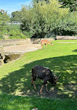 Berlin Zoological Garden