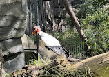 Berlin Zoological Garden