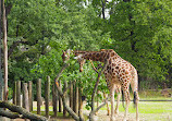 Berlin Zoological Garden