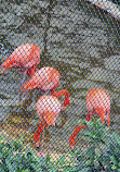 Hong Kong Zoological and Botanical Gardens Green House