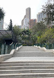 Hong Kong Zoological and Botanical Gardens Green House