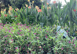 Hong Kong Zoological and Botanical Gardens Green House