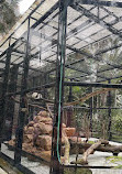 Hong Kong Zoological and Botanical Gardens Green House