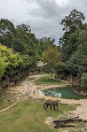 Smithsonian National Zoological Park