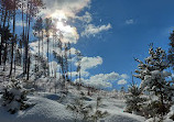 Three Sisters Trail Lookout Point