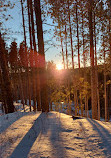 Three Sisters Trail Lookout Point