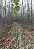 Pentwater Pathways Trailhead