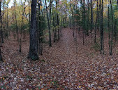 Pentwater Pathways Trailhead