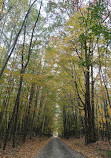 Pentwater Pathways Trailhead