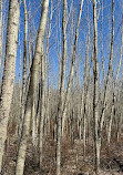 Pentwater Pathways Trailhead