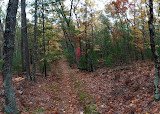 Pentwater Pathways Trailhead