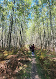 Pentwater Pathways Trailhead