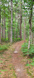 Pentwater Pathways Trailhead