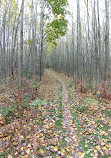 Pentwater Pathways Trailhead