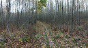 Pentwater Pathways Trailhead