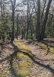 Pentwater Pathways Trailhead