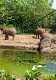 Dublin Zoo