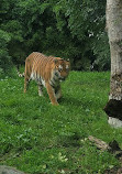 Dublin Zoo