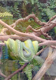 Dublin Zoo