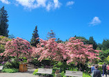 VanDusen Botanical Garden