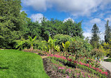 VanDusen Botanical Garden