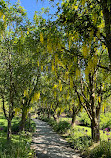 VanDusen Botanical Garden