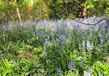 VanDusen Botanical Garden