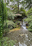 VanDusen Botanical Garden