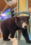 Blue Ridge Parkway Visitor Center