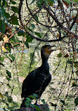 Budapest Zoo & Botanical Garden