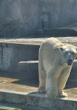 Budapest Zoo & Botanical Garden