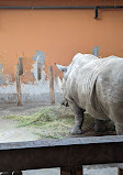 Budapest Zoo & Botanical Garden