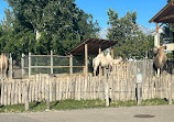 Budapest Zoo & Botanical Garden