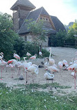 Budapest Zoo & Botanical Garden