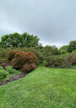 Biltmore Rose Garden