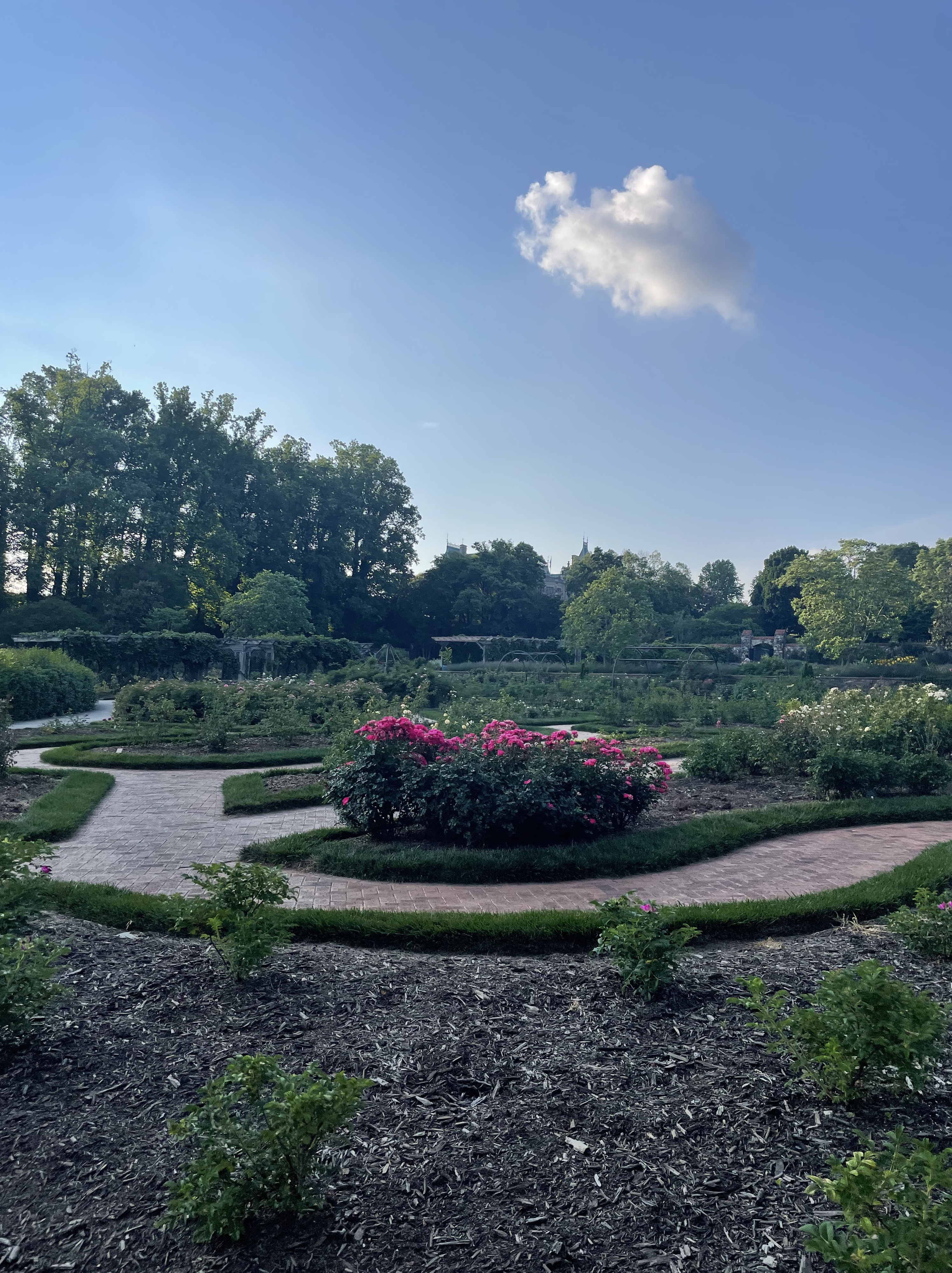 Biltmore Rose Garden