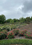 Biltmore Rose Garden