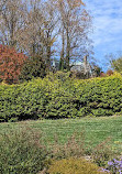 Biltmore Azalea Garden