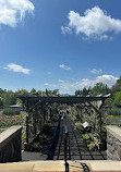 Biltmore Azalea Garden