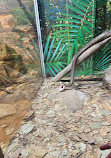 Sydney Zoo