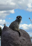 Sydney Zoo