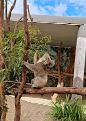 Sydney Zoo