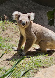 Sydney Zoo