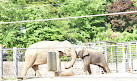 Seoul Zoo