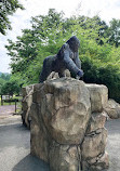 Seoul Zoo