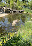 Schönbrunn Zoo