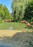 Schönbrunn Zoo