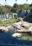 Zoo Schönbrunn