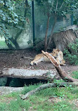 Schönbrunn Zoo