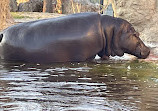 Parco giochi dello zoo